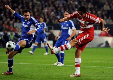 参与全明星 参与全明星